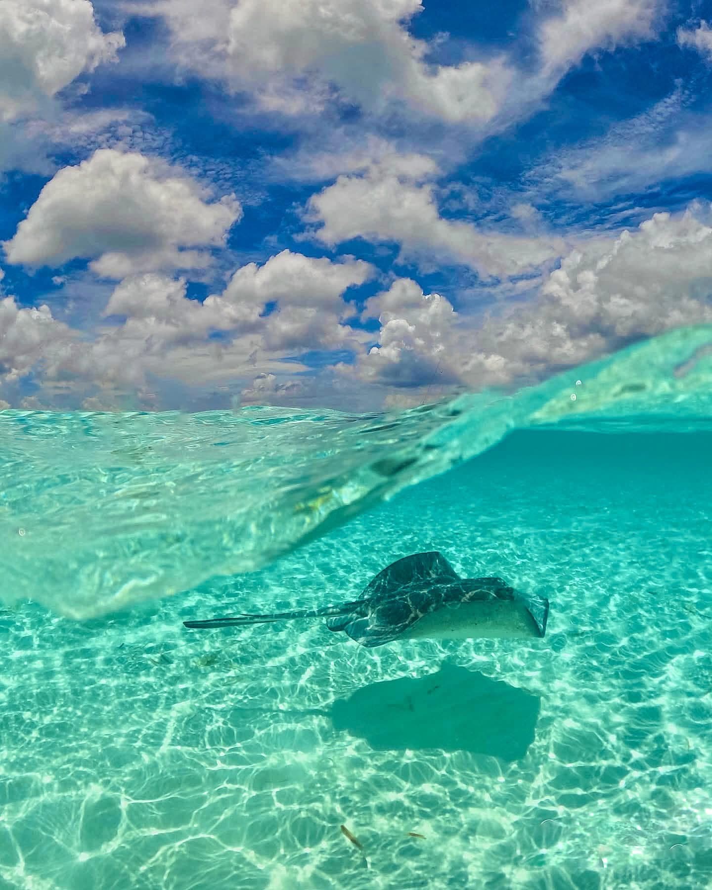 Beautiful landscape of Cozumel