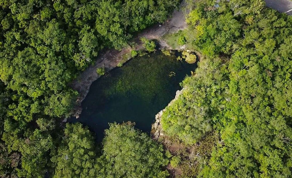 Private Jeep Cenotes Expedition in Cozumel - Cozumel tour